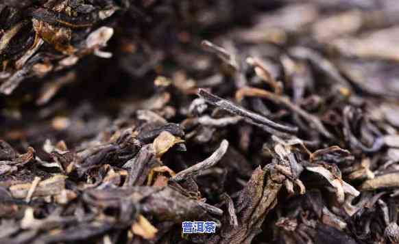 普洱茶会得胃癌吗？专家解析喝普洱茶与癌症风险的关系