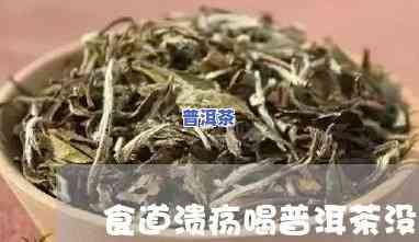 普洱茶引起食道癌吗-普洱茶引起食道癌吗能喝吗