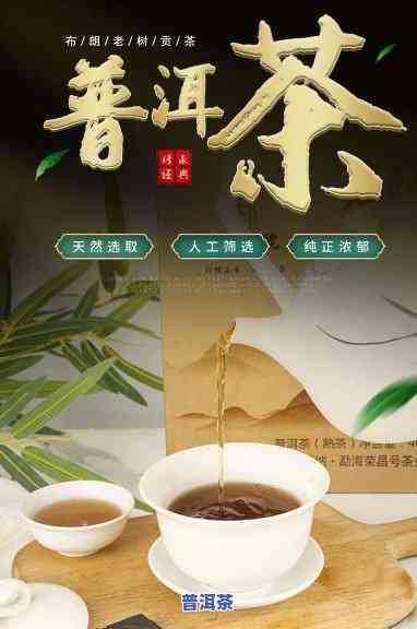 寻乔普洱茶馆，探索乔普洱茶馆，品味优质茶叶的无穷魅力