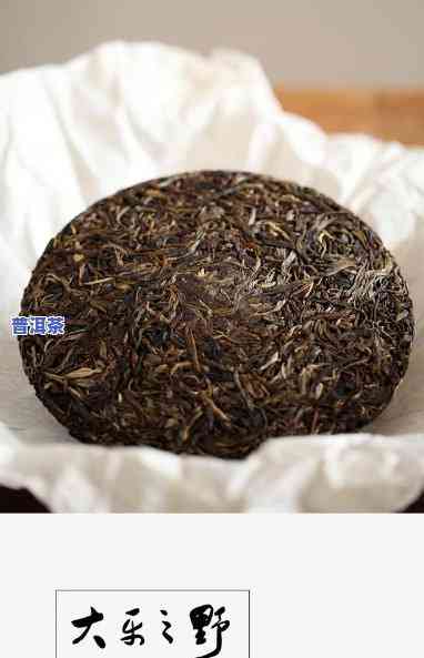 普洱茶大厂测评视频-普洱茶大厂测评视频大全