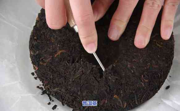 怎么掰普洱茶饼子呢-怎么掰普洱茶饼子呢视频