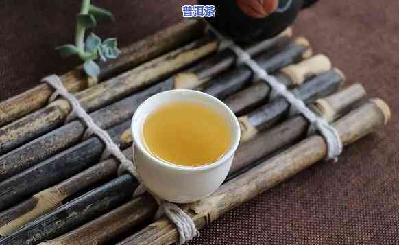 普洱茶不能每天喝吗-普洱茶不能每天喝吗为什么