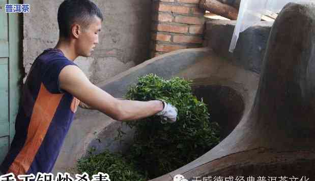 普洱茶是怎样加工制作的？完整过程图片 视频解答