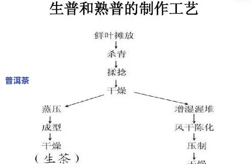 普洱茶是这样加工出-普洱茶是这样加工出来的吗