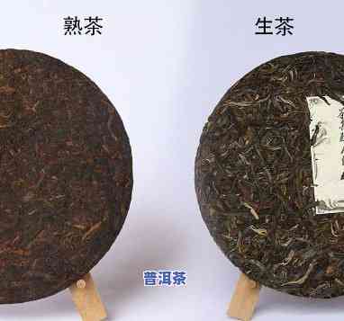 探究普洱茶生茶鲜爽口感：特点与味道解析