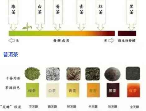 普洱生茶饼颜色变化全过程及图片展示