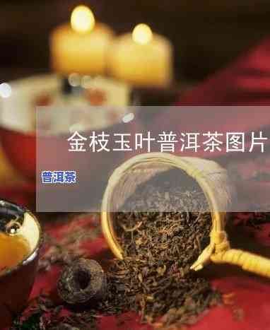 金枝大叶是普洱茶吗？探究其特性和图片解析