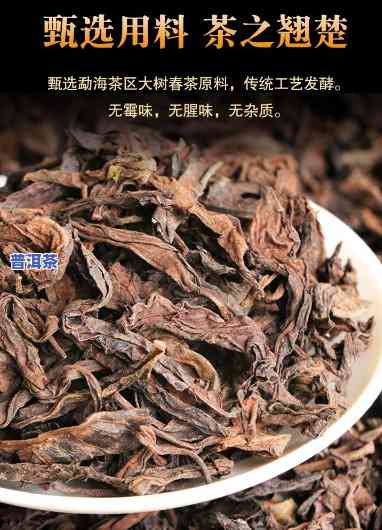 金枝大叶是普洱茶吗-金枝大叶是普洱茶吗图片