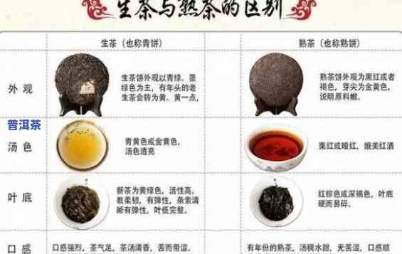 十年普洱生茶颜色：探究其变化与特点