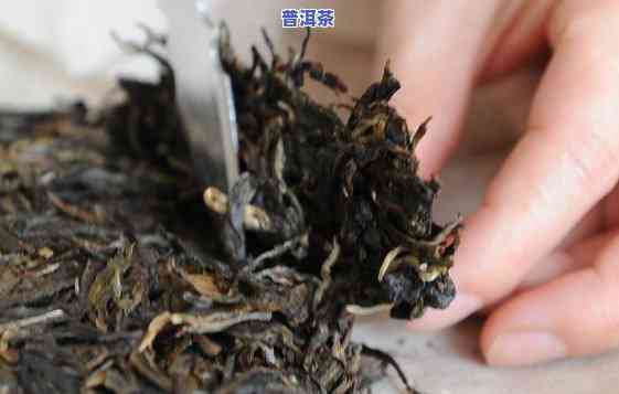 普洱茶饼泡开都碎茶：起因与解决办法