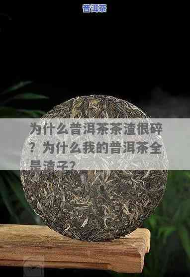 普洱茶为什么都是碎的？全解不碎茶的制作工艺与特点