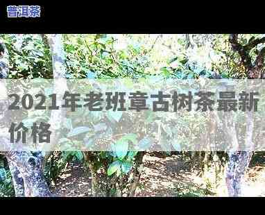 雨林老班章2021价格表，最新发布：2021年雨林老班章价格表出炉！