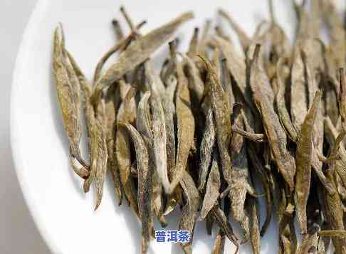 长条的普洱茶有哪些品种，探秘普洱茶：长条形茶叶的种类与特点