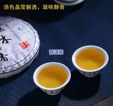 中茶冰岛普洱茶2018：探索茶文化的名山系列之一