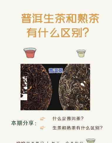 囤普洱：生茶好还是熟茶好？口感与收藏价值怎样比较？