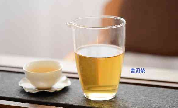 普洱茶生茶可以直接泡茶饮吗？详解起因与留意事项