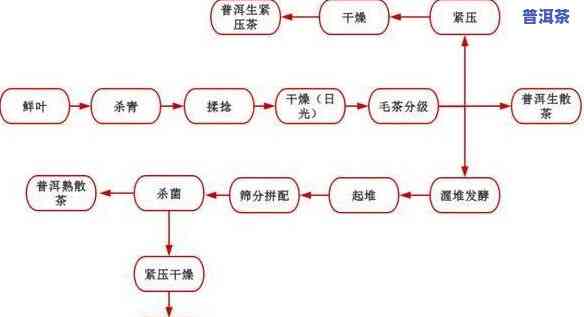 普洱生茶制作工艺图解，详细解析：普洱生茶的制作工艺流程图