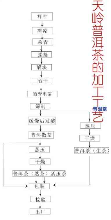 普洱生茶制作工艺图片大全，探索美味：全面熟悉普洱生茶制作工艺的图片大全