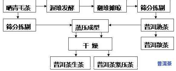 普洱生茶制作工艺图-普洱生茶制作工艺图片