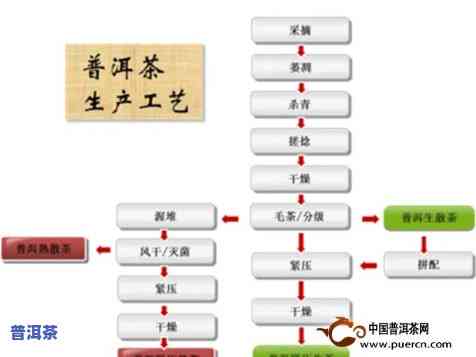 普洱生茶制作工艺图-普洱生茶制作工艺图片