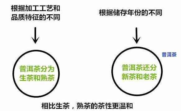 普洱生茶六维转化图-普洱生茶六维转化图片大全