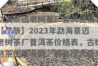 勐海陈香普洱茶价格，【2023年最新】勐海陈香普洱茶价格表，老班章古树生茶熟茶收购价多少一斤？