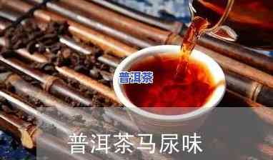 普洱生茶闻到尿骚味-普洱生茶闻到尿骚味还能喝吗