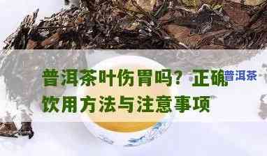 普洱生茶是不是会伤胃？正确的饮用方法是什么？