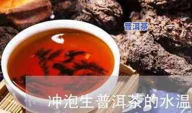 普洱茶生茶泡茶水温：多少度最合适？