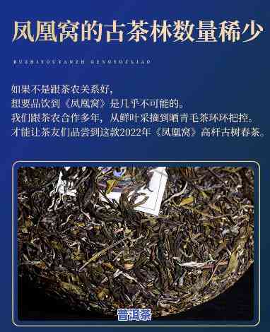 云南普洱生茶凤凰窝-普洱茶 凤凰窝