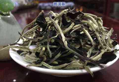 普洱生茶属于哪种茶系？