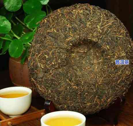 普洱生茶属于什么茶系，探秘茶叶世界：熟悉普洱生茶的归属茶系