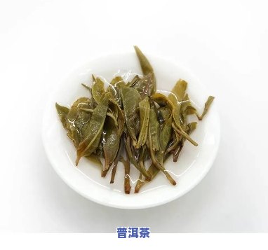 普洱茶一芽两叶是个坑-普洱茶一芽两叶是个坑吗