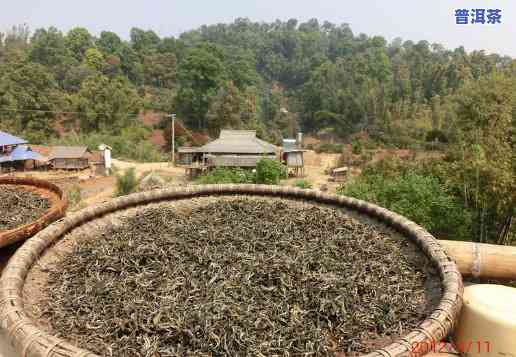 百色哪里有普洱茶老茶卖，寻找百色的老茶馆：普洱茶在哪里可以买到？