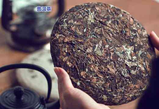 普洱茶生茶压饼能喝吗-普洱茶生茶压饼能喝吗有吗