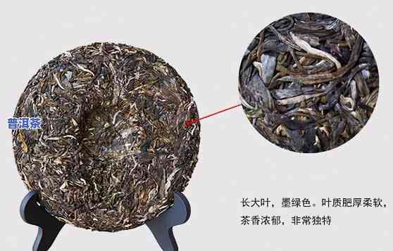 普洱生茶特征有哪些特点，探索普洱生茶的特别特征：一探究竟