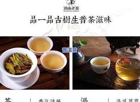 上饮茶堂普洱茶怎么样-上饮茶堂普洱茶怎么样好喝吗