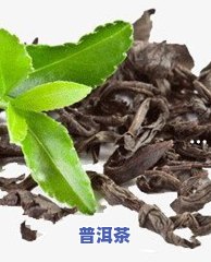 喝普洱茶全身过敏的起因及症状解析