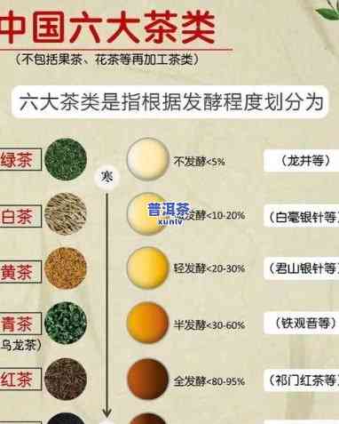 瑧印象普洱茶：全面熟悉其价格与种类