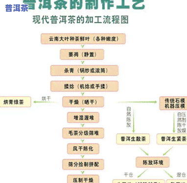 代加工普洱茶饼赚钱吗，探讨代加工普洱茶饼的盈利潜力：上的观点分析