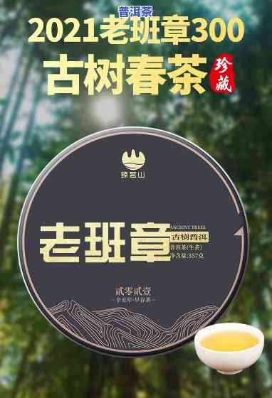 探索古树老班章茶：特点与报价全解析