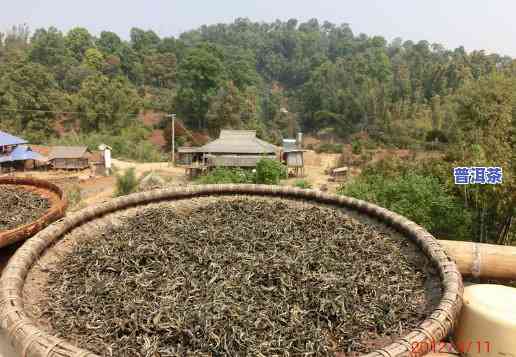 收普洱茶叶的老板，寻找优质的普洱茶叶？请找咱们专业的收普洱茶叶的老板！