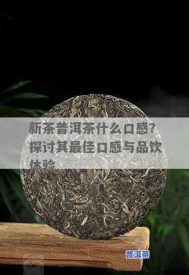 普洱茶新茶什么味道好喝，探索普洱茶新茶的美味：你不能错过的口感体验