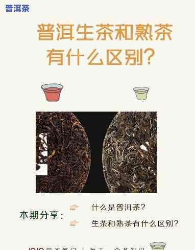 全面解析：普洱生茶与熟茶对人体的好处及留意事项