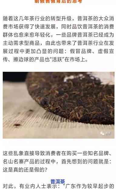 上海警方捣毁假普洱茶：真相大揭秘！