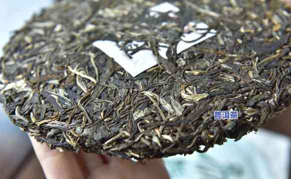 普洱茶储存坏后是不是还能饮用？是不是有？