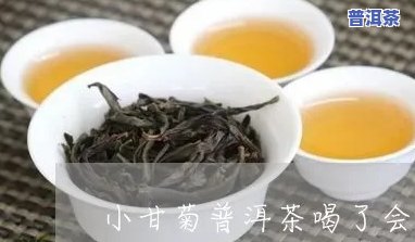 小甘菊普洱茶属于什么茶，解密小甘菊普洱茶：它属于哪种类型的茶？