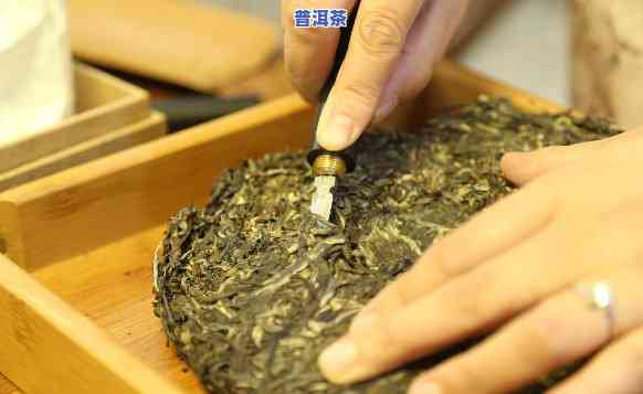 普洱熟茶醒茶方法：步骤详解与实用技巧