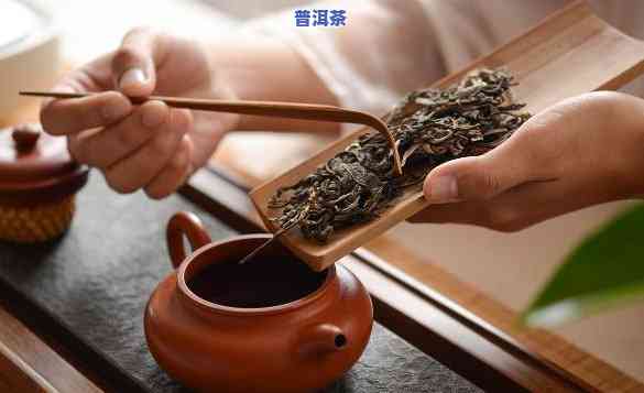 普洱熟茶醒茶方法：步骤详解与实用技巧