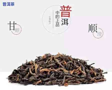 熟普洱茶适合啥时候喝好，掌握更佳时机：何时饮用熟普洱茶更合适？